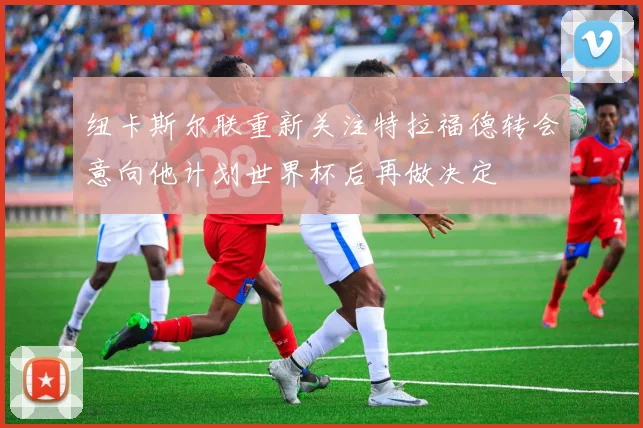 纽卡斯尔联重新关注特拉福德转会意向他计划世界杯后再做决定